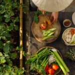 Life In The Pot: How To Prepare Palatable Food While Preserving The Nutrition