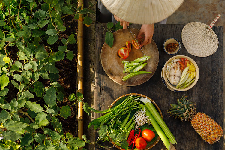 Life In The Pot: How To Prepare Palatable Food While Preserving The Nutrition